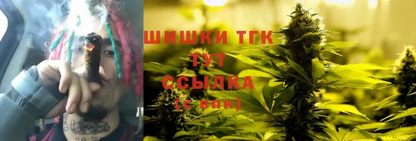 прущие грибы Няндома