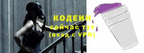 соль ск Арсеньев