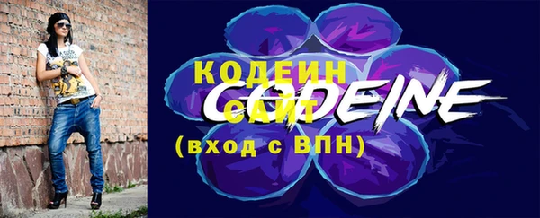 прущие грибы Няндома