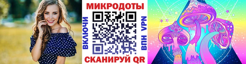 ОМГ ОМГ ссылки  Бородино  Галлюциногенные грибы Psilocybine cubensis 