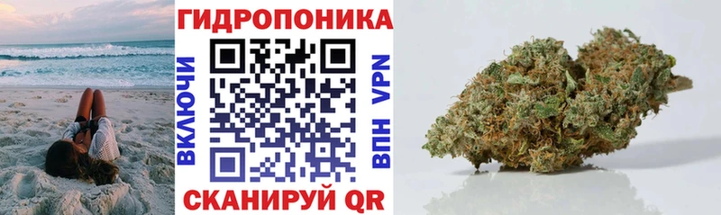 как найти Бородино Конопля Bruce Banner